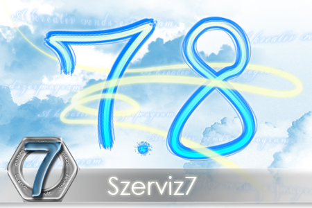 Szerviz7 adminsiztr�ci�s program, sz�ml�z� program, rakt�roz� program, �gyf�lnyilv�ntart� program